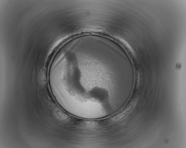 X0000101160878200807111026