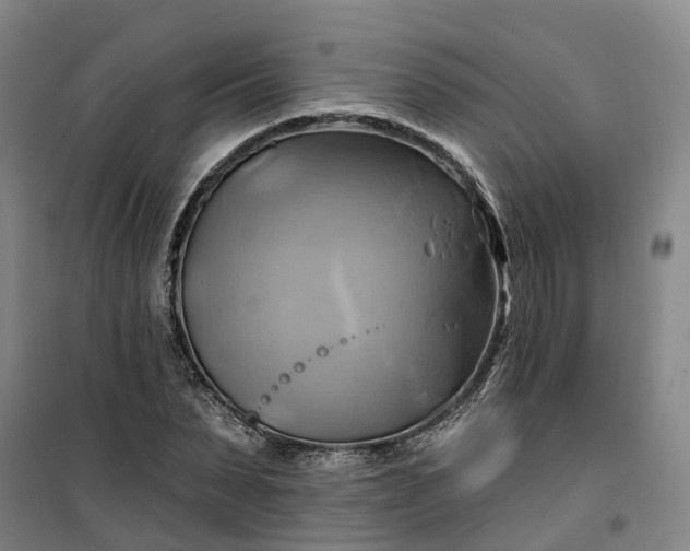 X0000101160879200807111026