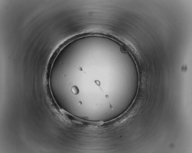 X0000101160880200807111026