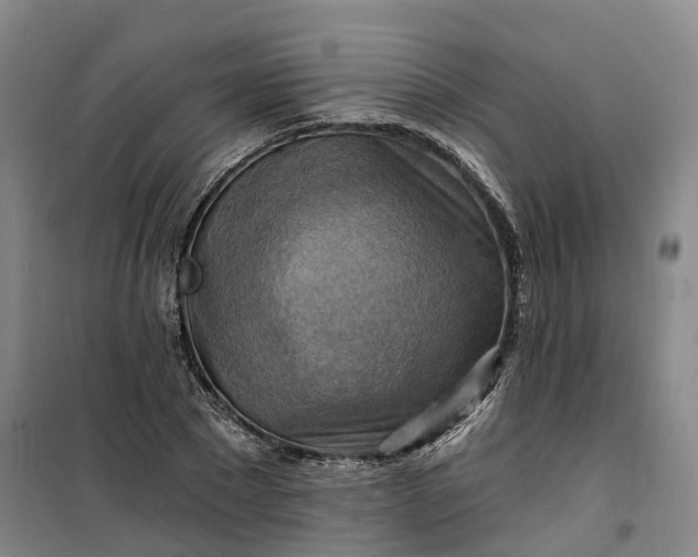 X0000101160881200807111026