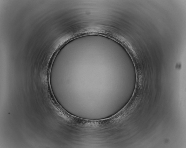 X0000101160882200807111026