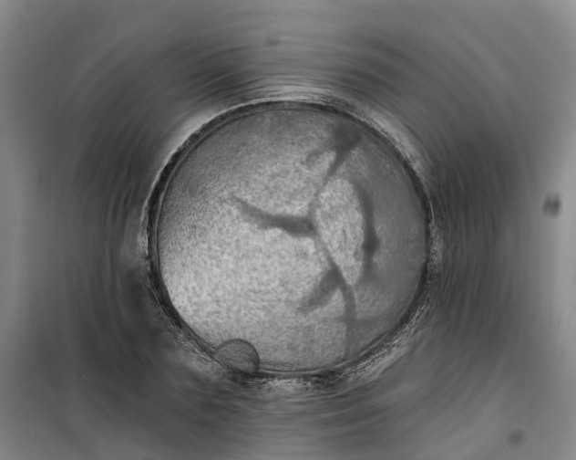 X0000101160883200807111026