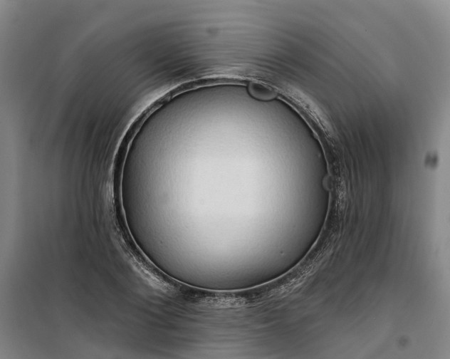 X0000101160884200807111026