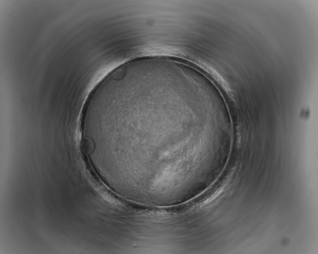 X0000101160885200807111026