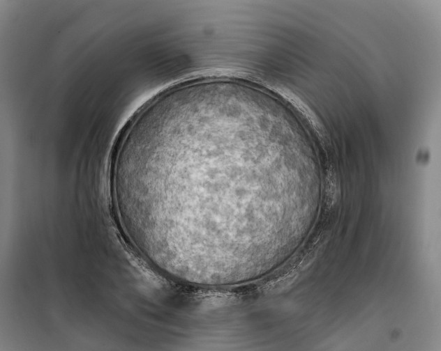 X0000101160886200807111026