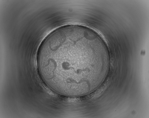 X0000101160887200807111026