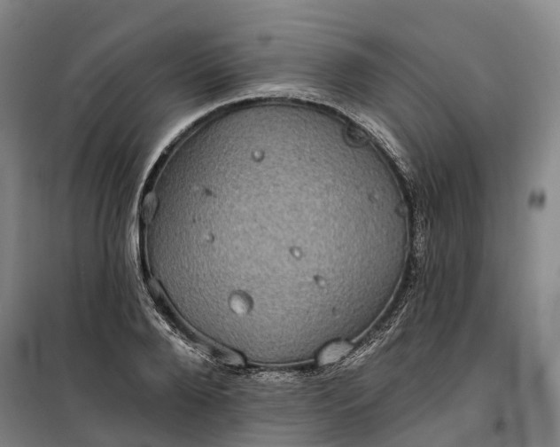 X0000101160888200807111026