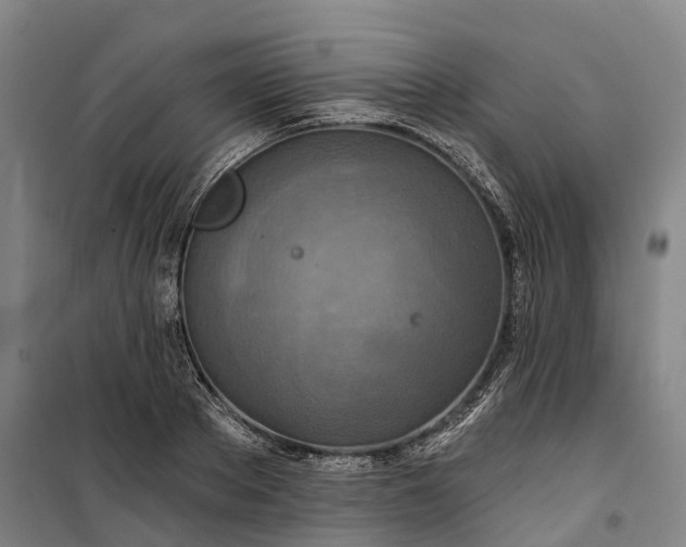 X0000101160889200807111026