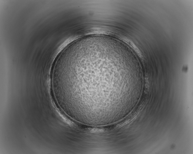 X0000101160890200807111026