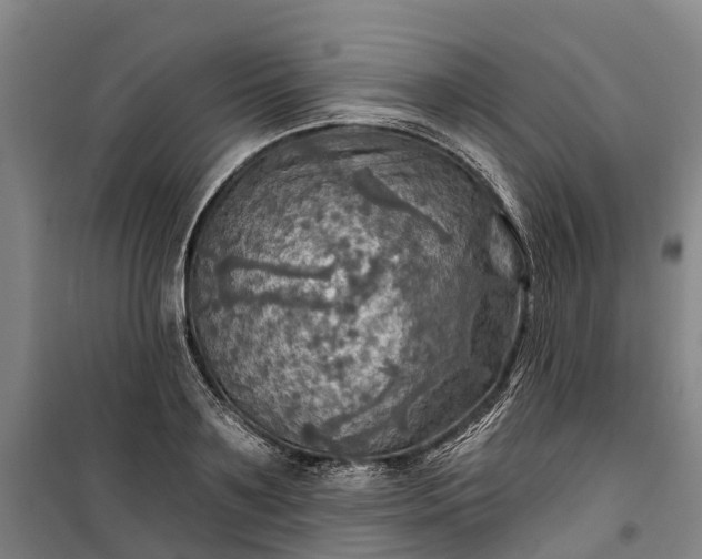 X0000101160891200807111026