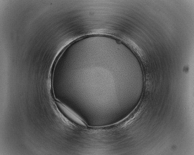 X0000101160892200807111026