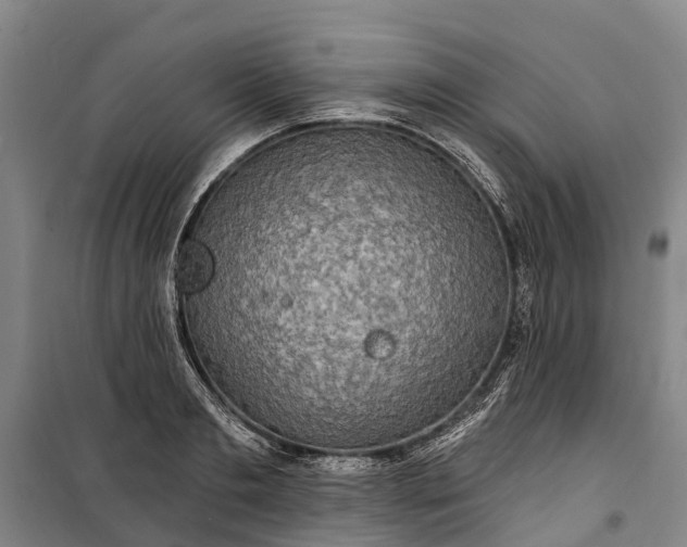 X0000101160893200807111026