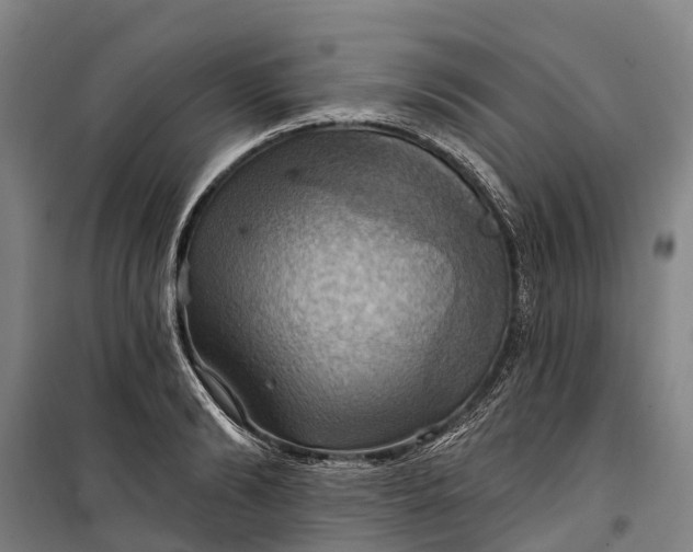 X0000101160894200807111026