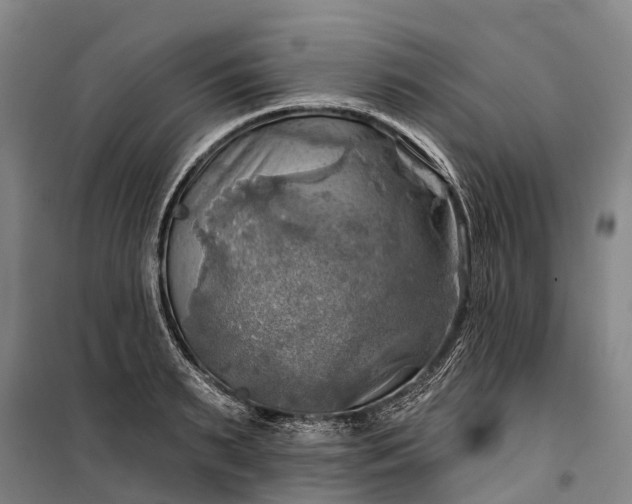 X0000101160895200807111026