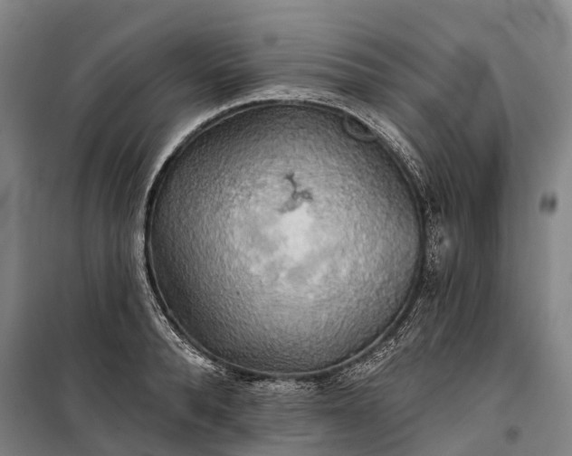 X0000101160896200807111026