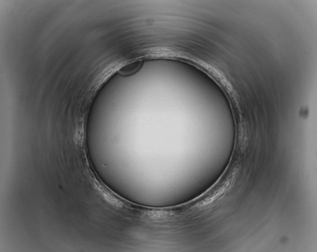 X0000101160897200807111026