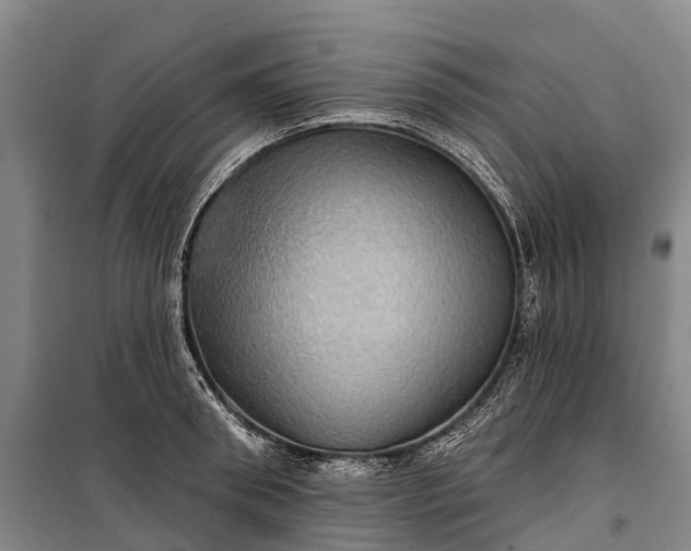 X0000101160898200807111026