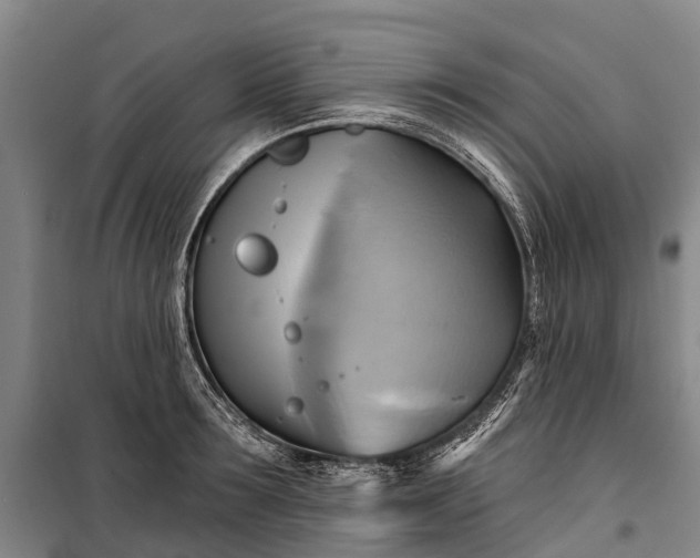 X0000101160899200807111026