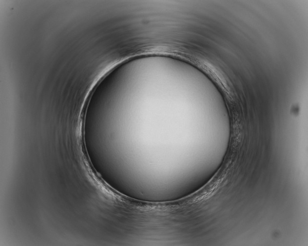 X0000101160900200807111026