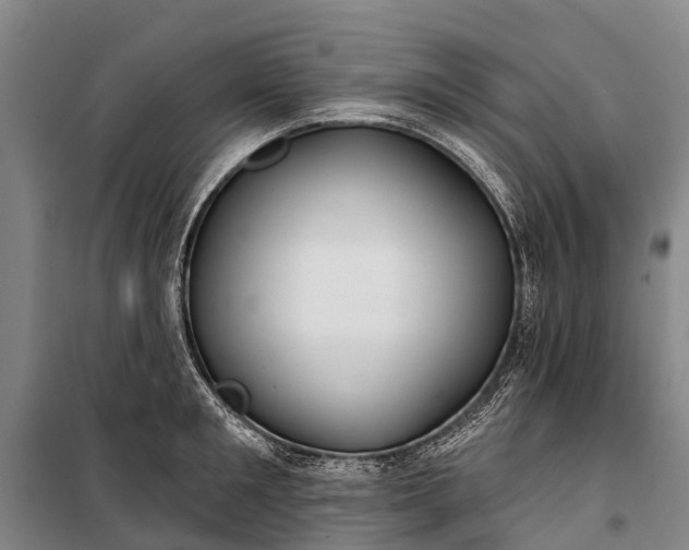 X0000101160901200807111025