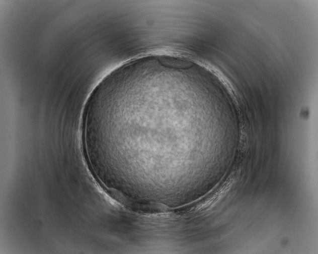 X0000101160902200807111025