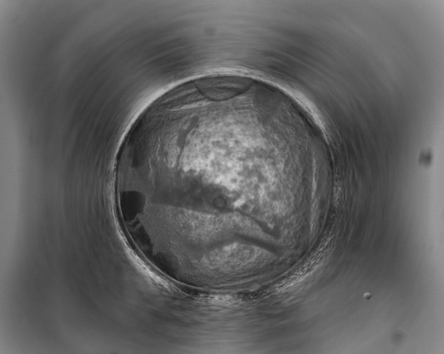 X0000101160903200807111025