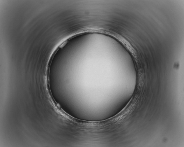 X0000101160904200807111025