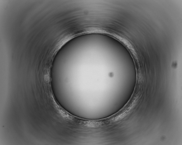 X0000101160905200807111025