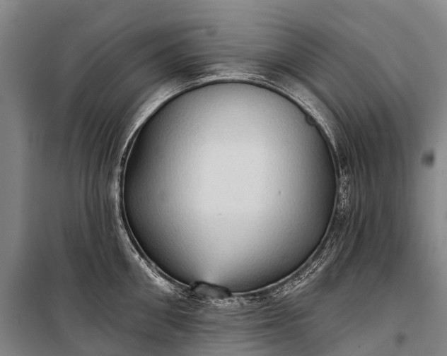 X0000101160906200807111025