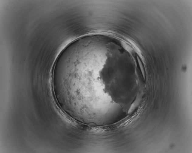 X0000101160907200807111025