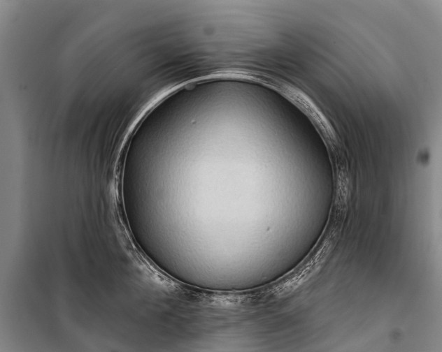 X0000101160908200807111025