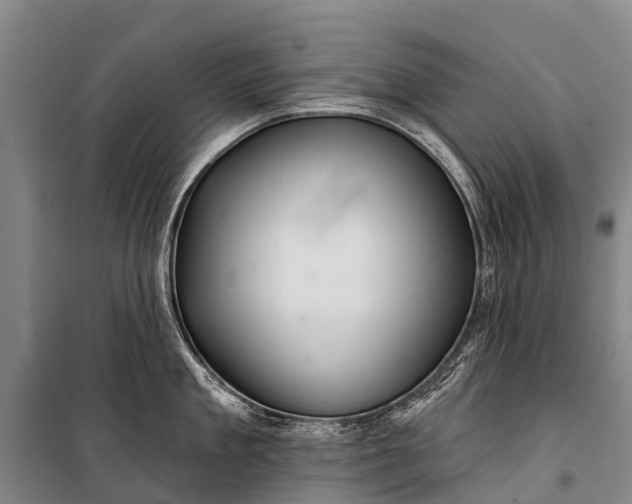 X0000101160909200807111025