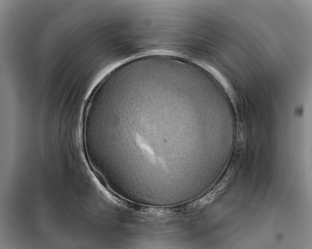 X0000101160910200807111025