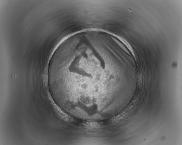 X0000101160911200807111025