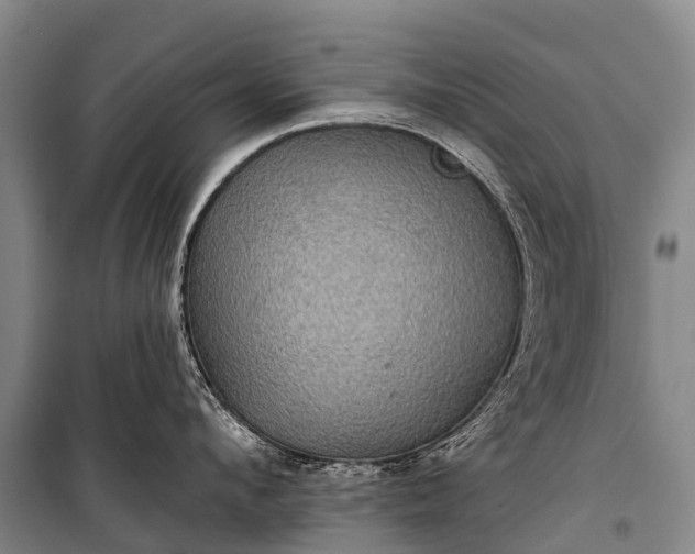 X0000101160912200807111025