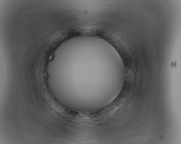 X0000101160913200807111025