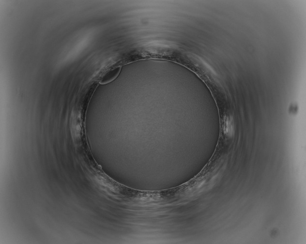 X0000101160915200807111025