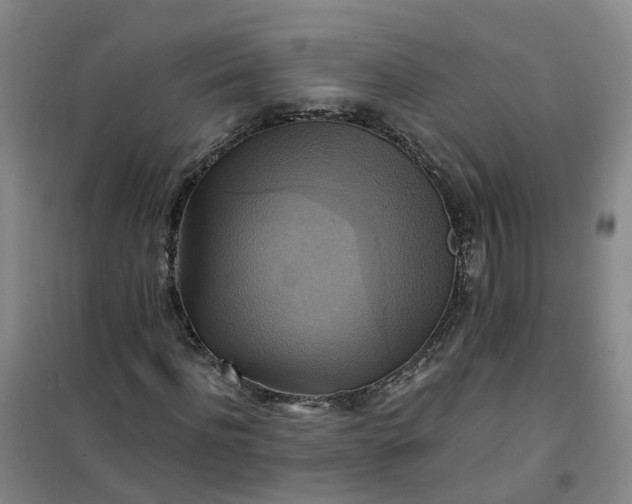 X0000101160916200807111025