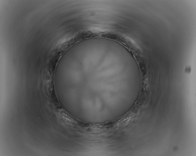 X0000101160917200807111025