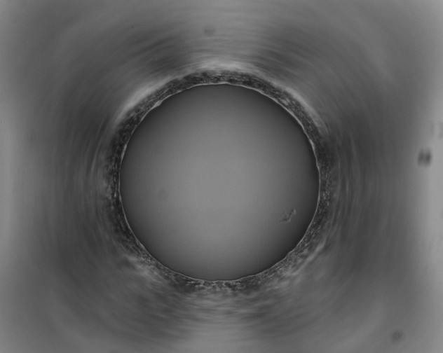 X0000101160919200807111025