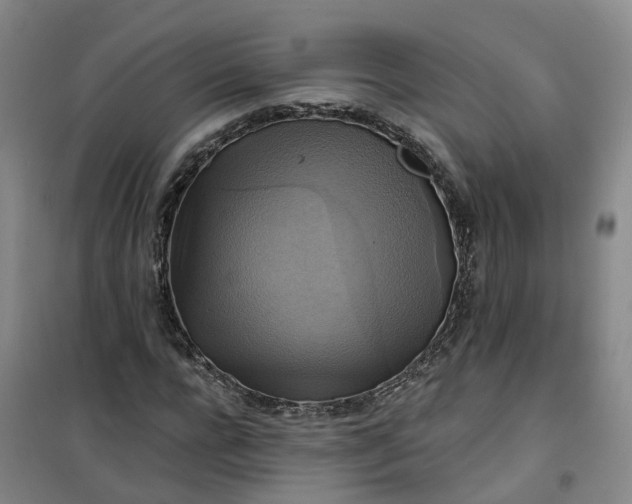 X0000101160920200807111025