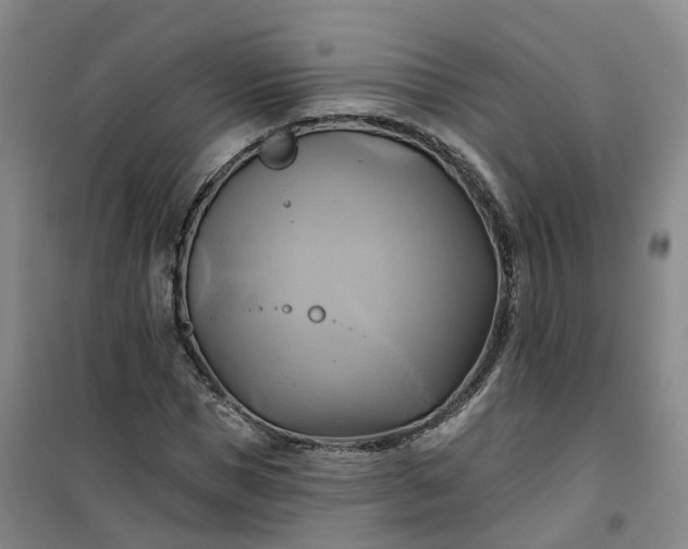 X0000101160921200807111025