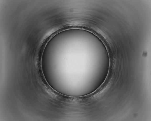 X0000101160922200807111025