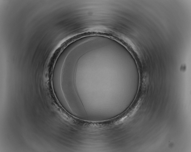 X0000101160923200807111025