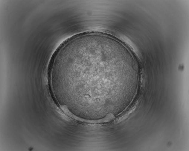 X0000101160924200807111025