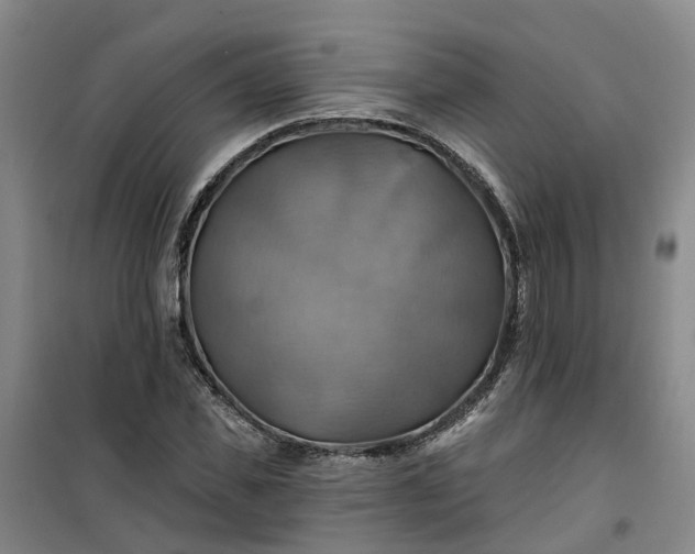 X0000101160925200807111025