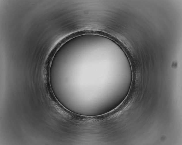 X0000101160926200807111025