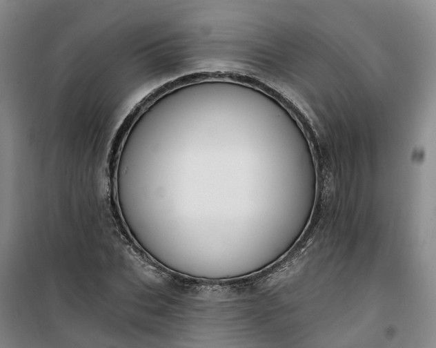 X0000101160927200807111025