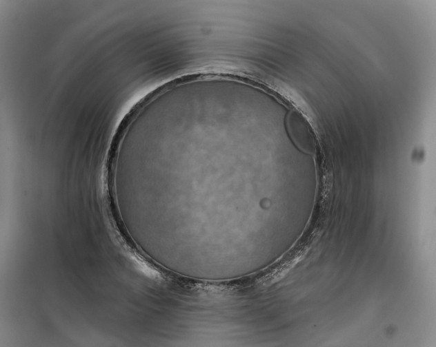 X0000101160928200807111025