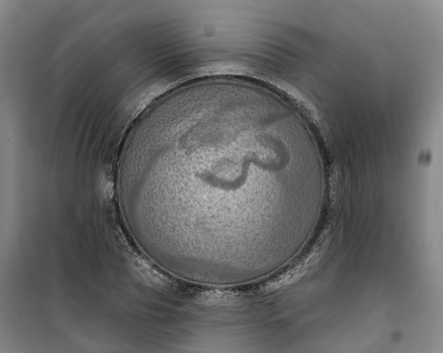 X0000101160929200807111025